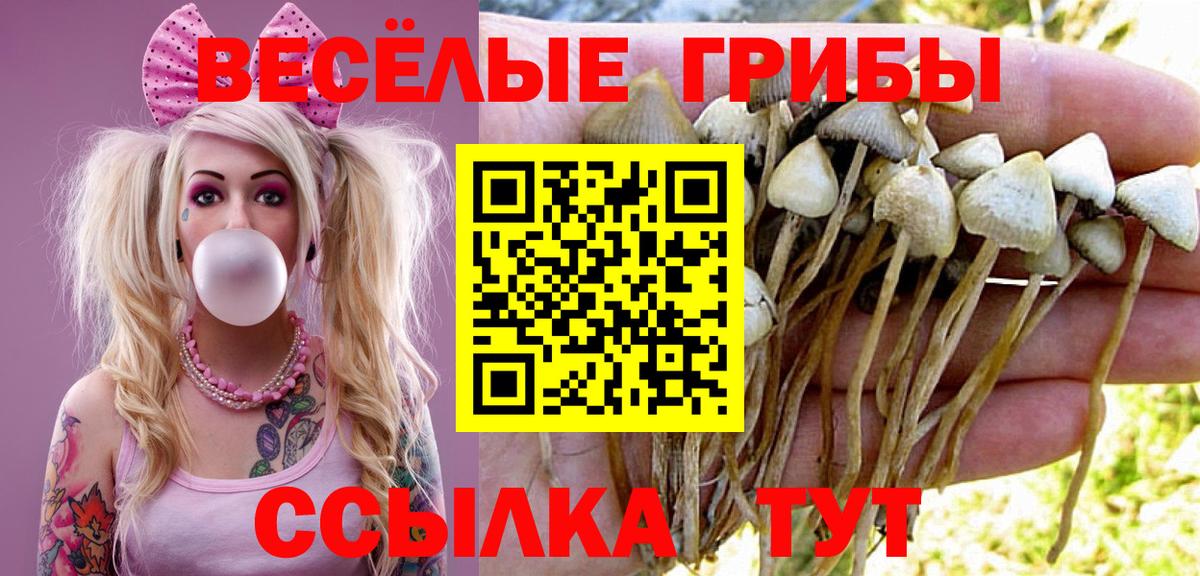 Псилоцибиновые грибы прущие грибы Алушта